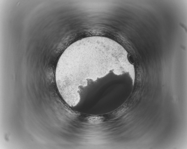 X0000101460465200808041046