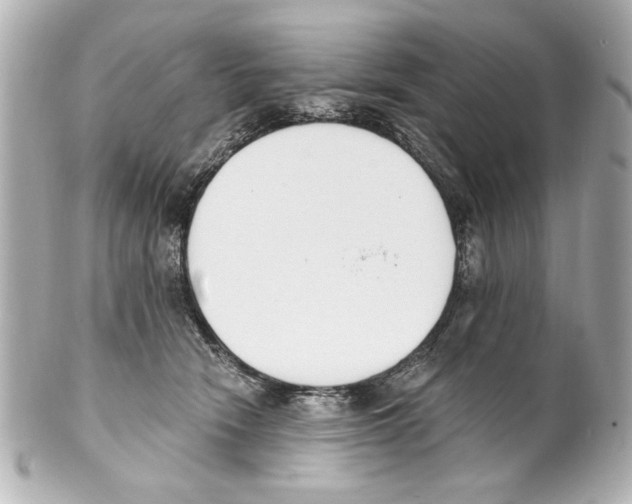 X0000101460466200808041046