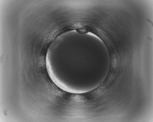 X0000101460467200808041046
