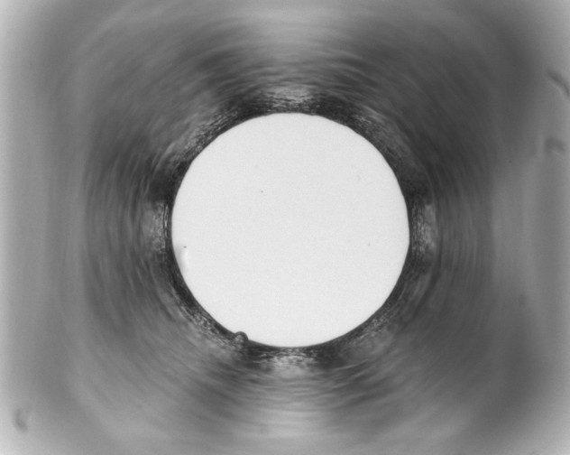 X0000101460468200808041046