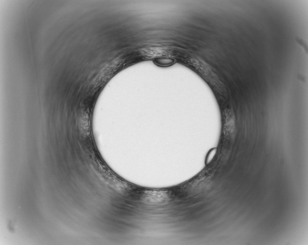 X0000101460469200808041046
