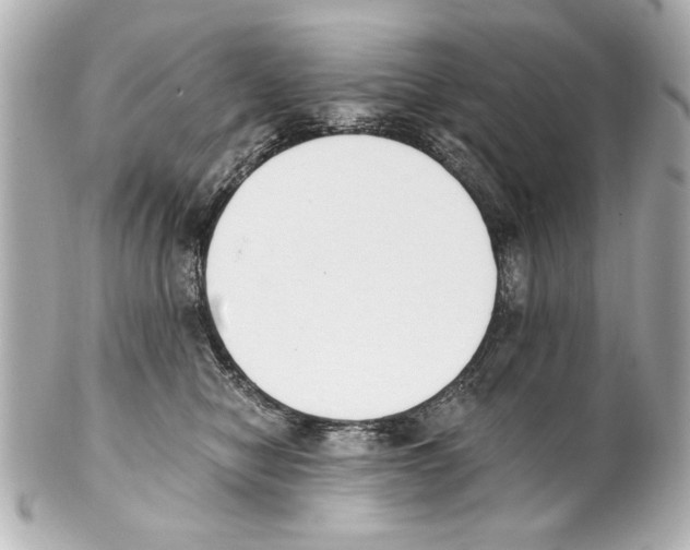 X0000101460470200808041046