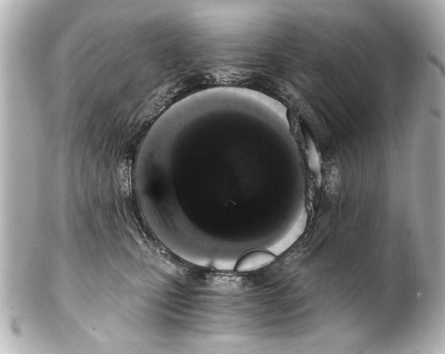 X0000101460471200808041046