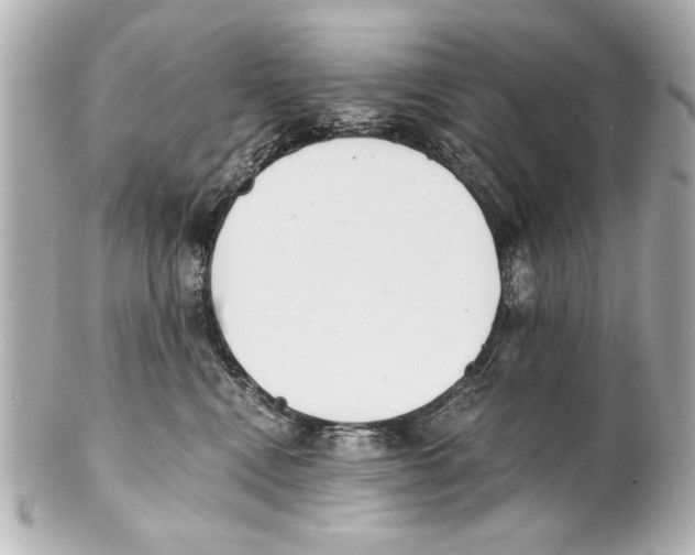 X0000101460472200808041046