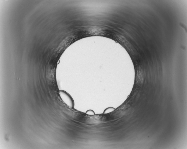 X0000101460473200808041046