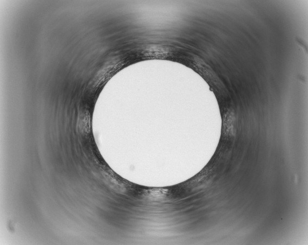 X0000101460474200808041046