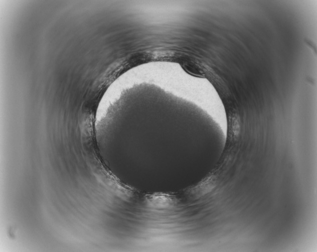 X0000101460475200808041046