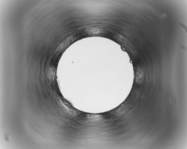 X0000101460476200808041046