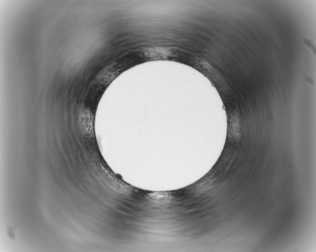 X0000101460477200808041046