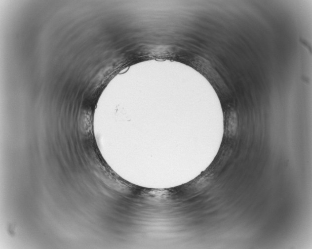 X0000101460478200808041046
