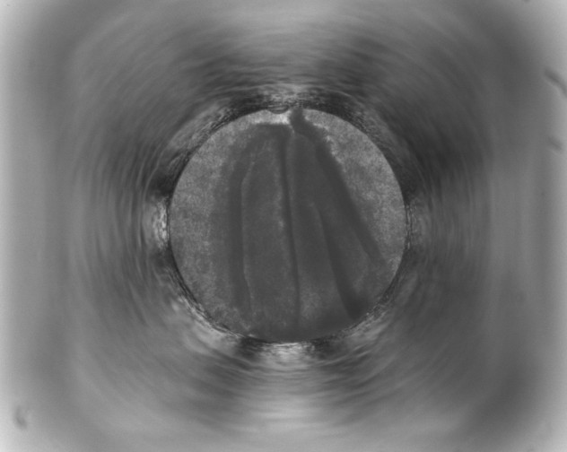 X0000101460479200808041046