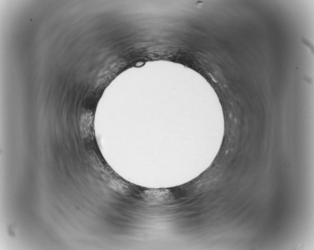 X0000101460480200808041046