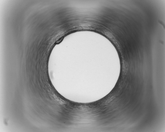 X0000101460481200808041045