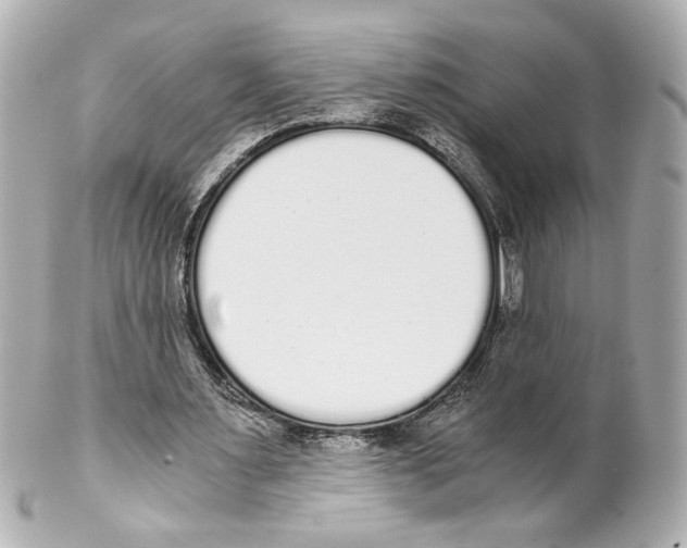 X0000101460483200808041045