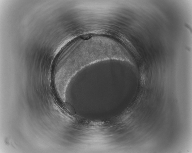 X0000101460484200808041045