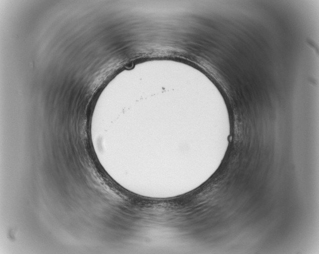 X0000101460485200808041045
