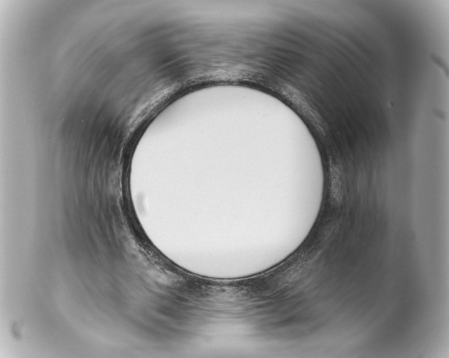 X0000101460486200808041045