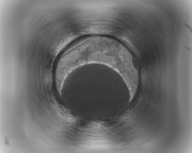 X0000101460488200808041045