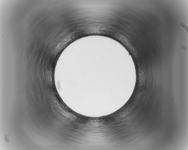 X0000101460489200808041045