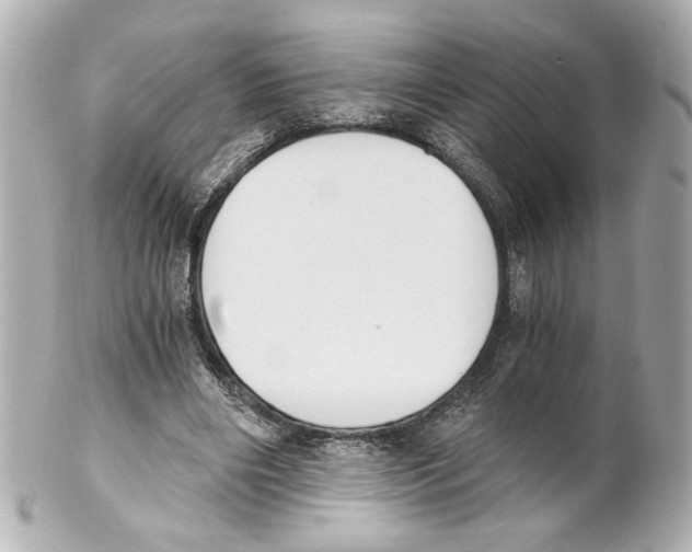 X0000101460490200808041045