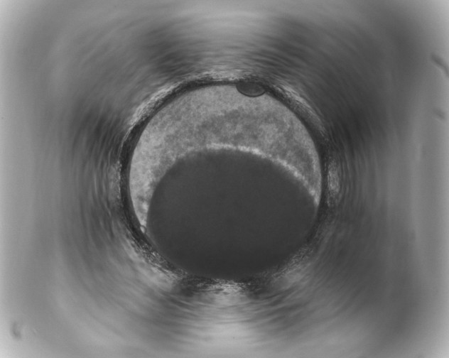 X0000101460492200808041045