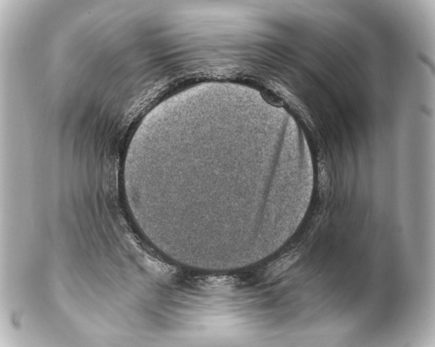 X0000101460493200808041045