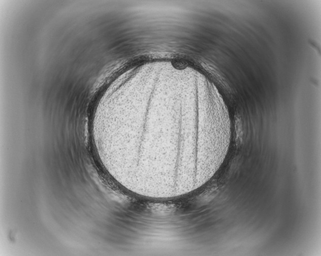 X0000101460494200808041045