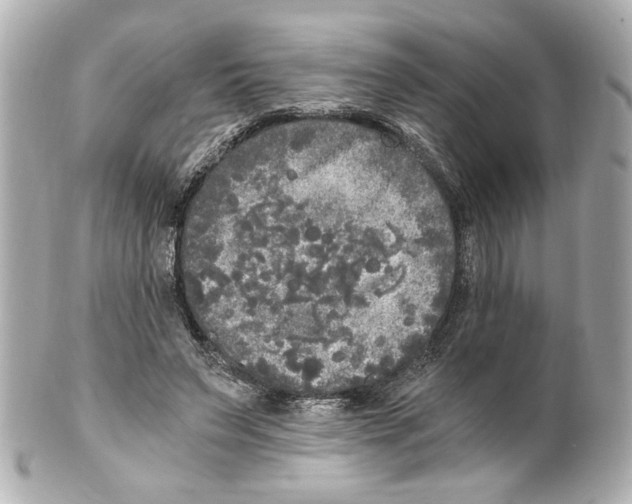 X0000101460495200808041045