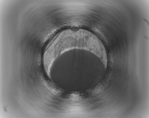 X0000101460496200808041045