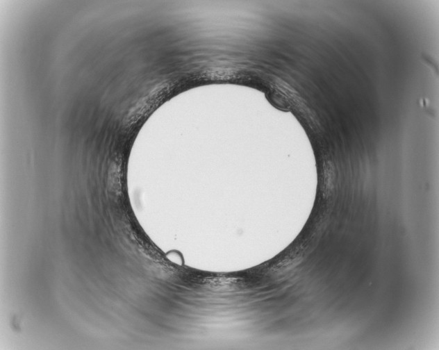 X0000101460497200808041045