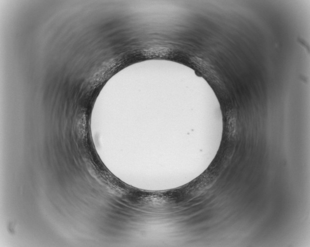 X0000101460498200808041045