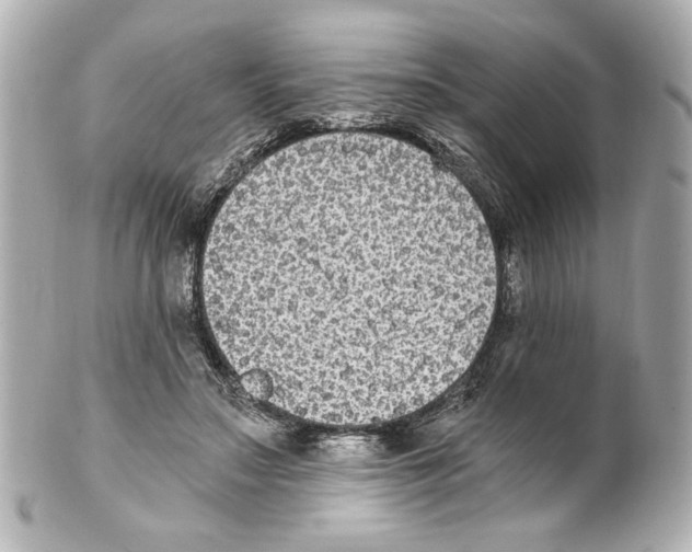 X0000101460499200808041045