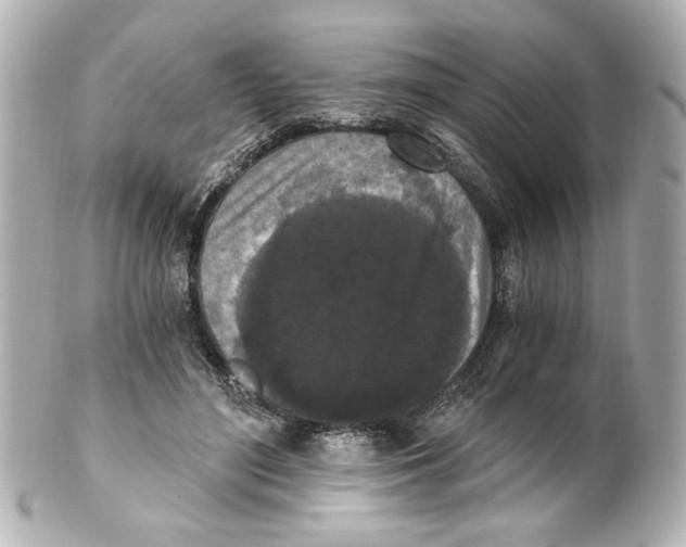 X0000101460500200808041045