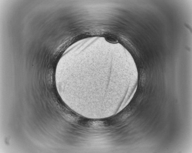X0000101460501200808041045