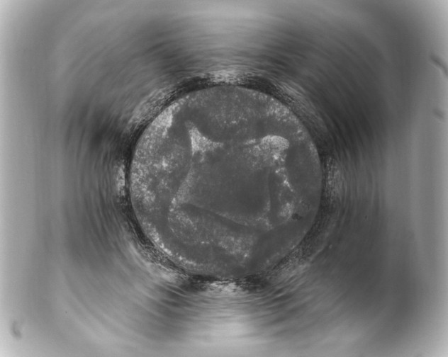 X0000101460502200808041045
