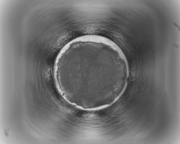 X0000101460503200808041045
