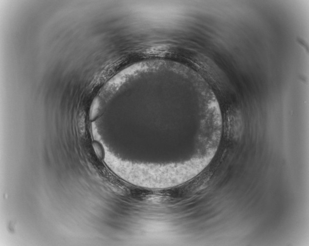 X0000101460504200808041045