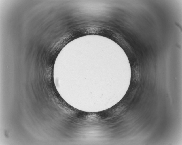 X0000101460505200808041045