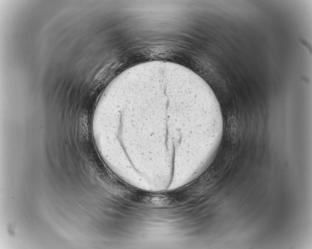 X0000101460506200808041045