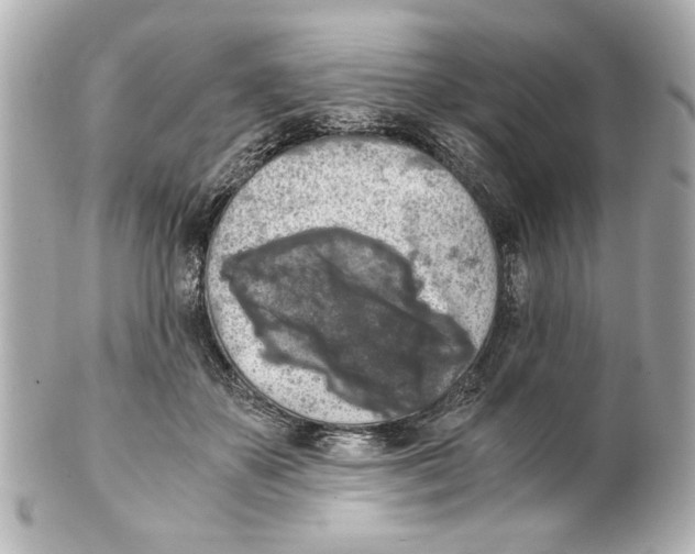 X0000101460507200808041045