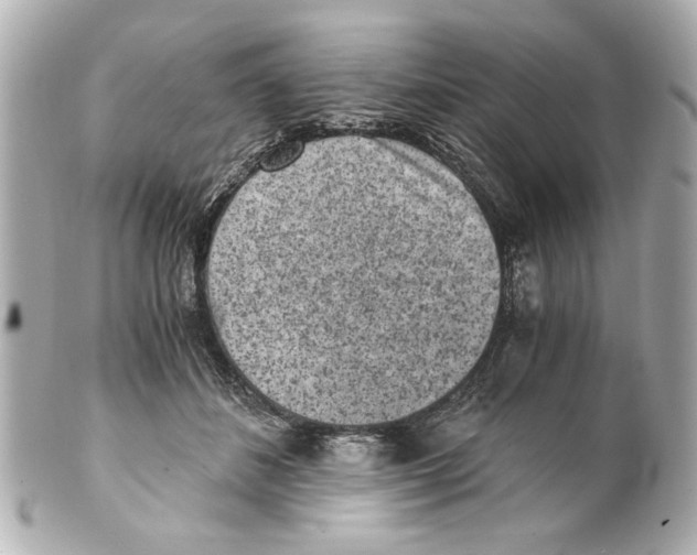 X0000101460508200808041045