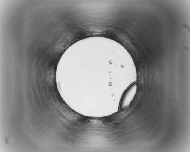 X0000101460509200808041045