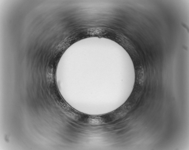 X0000101460510200808041045