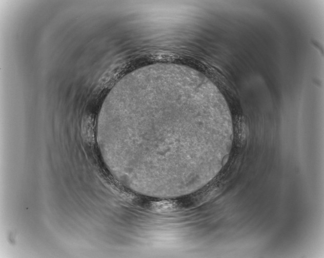 X0000101460511200808041045