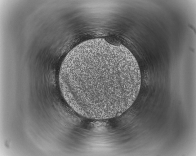 X0000101460512200808041045