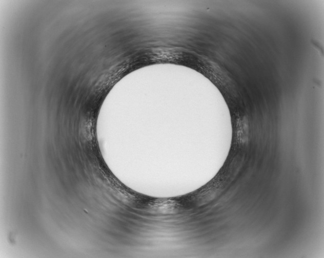X0000101460514200808041045