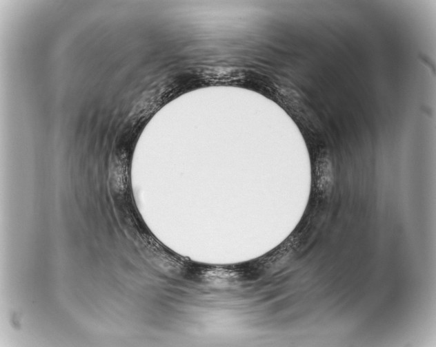 X0000101460515200808041045
