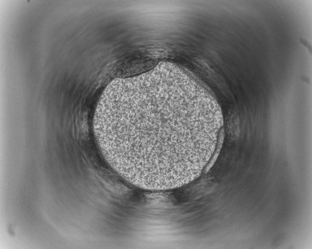X0000101460516200808041045