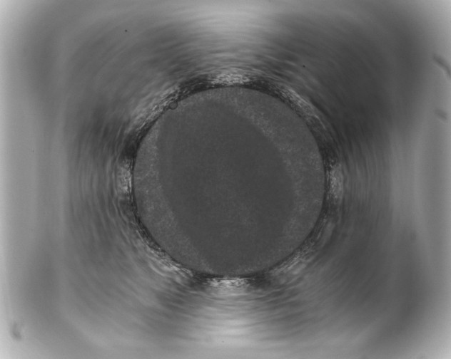 X0000101460517200808041045