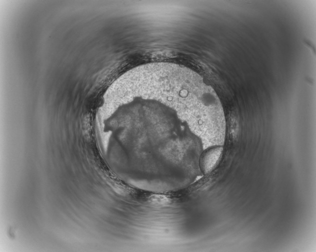 X0000101460519200808041045